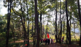 久久青草视频,一场别开生面的视频之旅