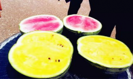 51cg8吃瓜爆料,揭秘娱乐圈最新吃瓜事件